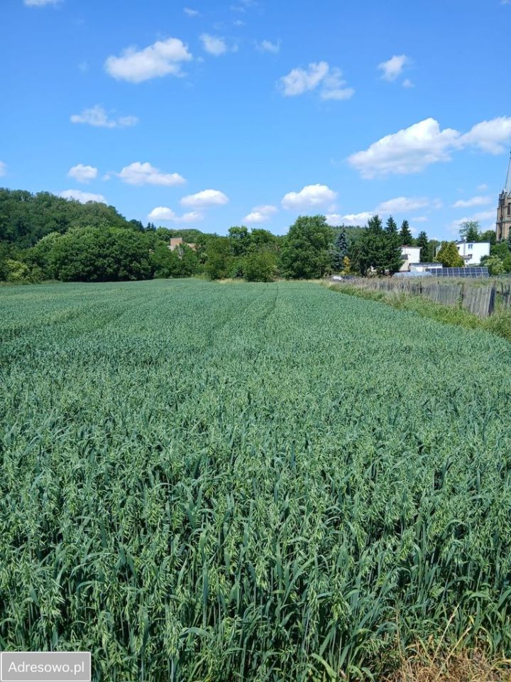 Działka rolno-budowlana Gorzów Wielkopolski Wieprzyce, ul. Kostrzyńska