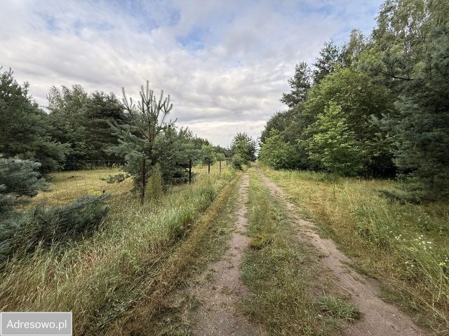 Działka rekreacyjna Nowe Miasto-Folwark. Zdjęcie 1