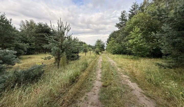 Działka rekreacyjna Nowe Miasto-Folwark