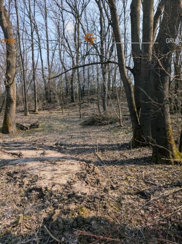 Działka siedliskowa Dębiany. Zdjęcie 8