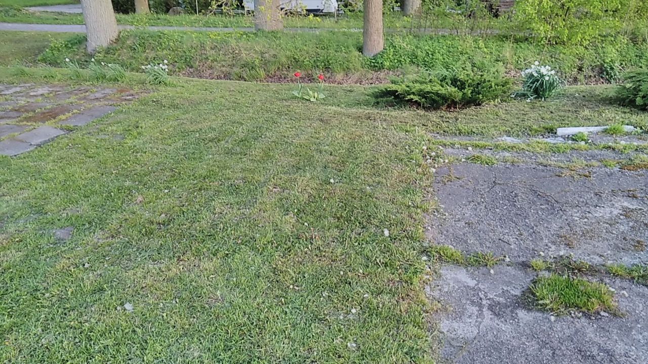 Działka budowlana Zawda. Zdjęcie 4