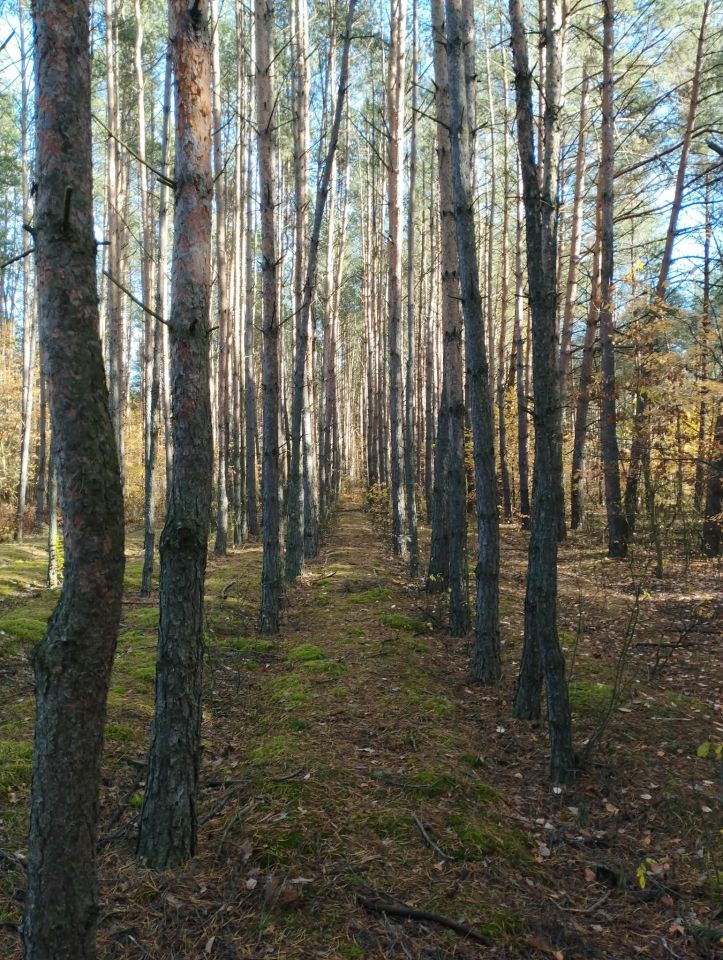 dom wolnostojący, 4 pokoje Drutarnia. Zdjęcie 9