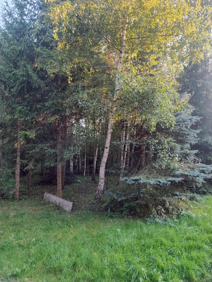 Działka budowlana Stopnica, ul. Polna. Zdjęcie 11