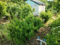 Działka rod Zamość Zamczysko, ul. Żdanowska. Zdjęcie 4