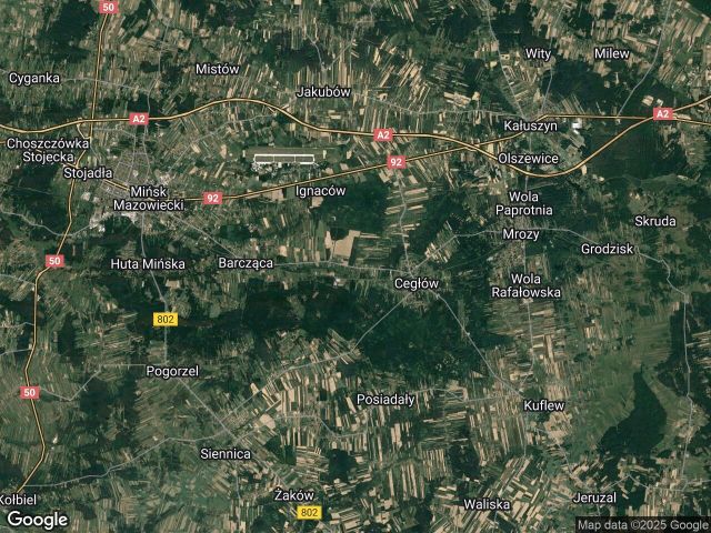 Działka rolna Mienia. Zdjęcie 1