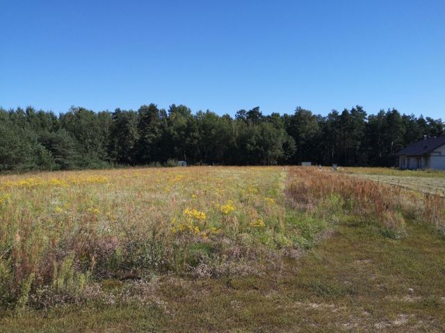 Działka budowlana Pietrzyki. Zdjęcie 1