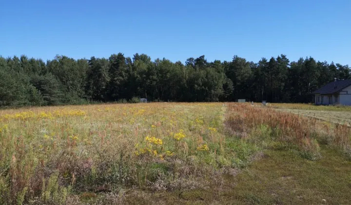 Działka budowlana Pietrzyki