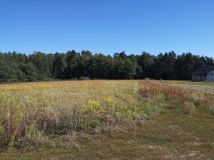 Działka budowlana Pietrzyki