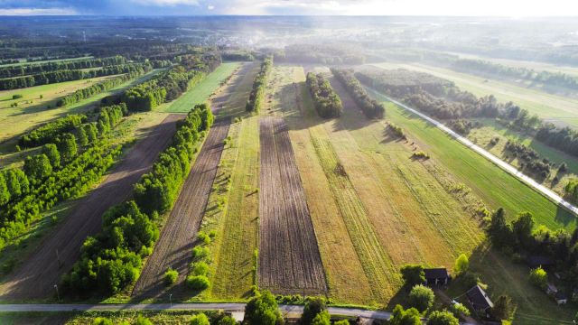 Działka budowlana Ostrowy nad Okszą. Zdjęcie 2