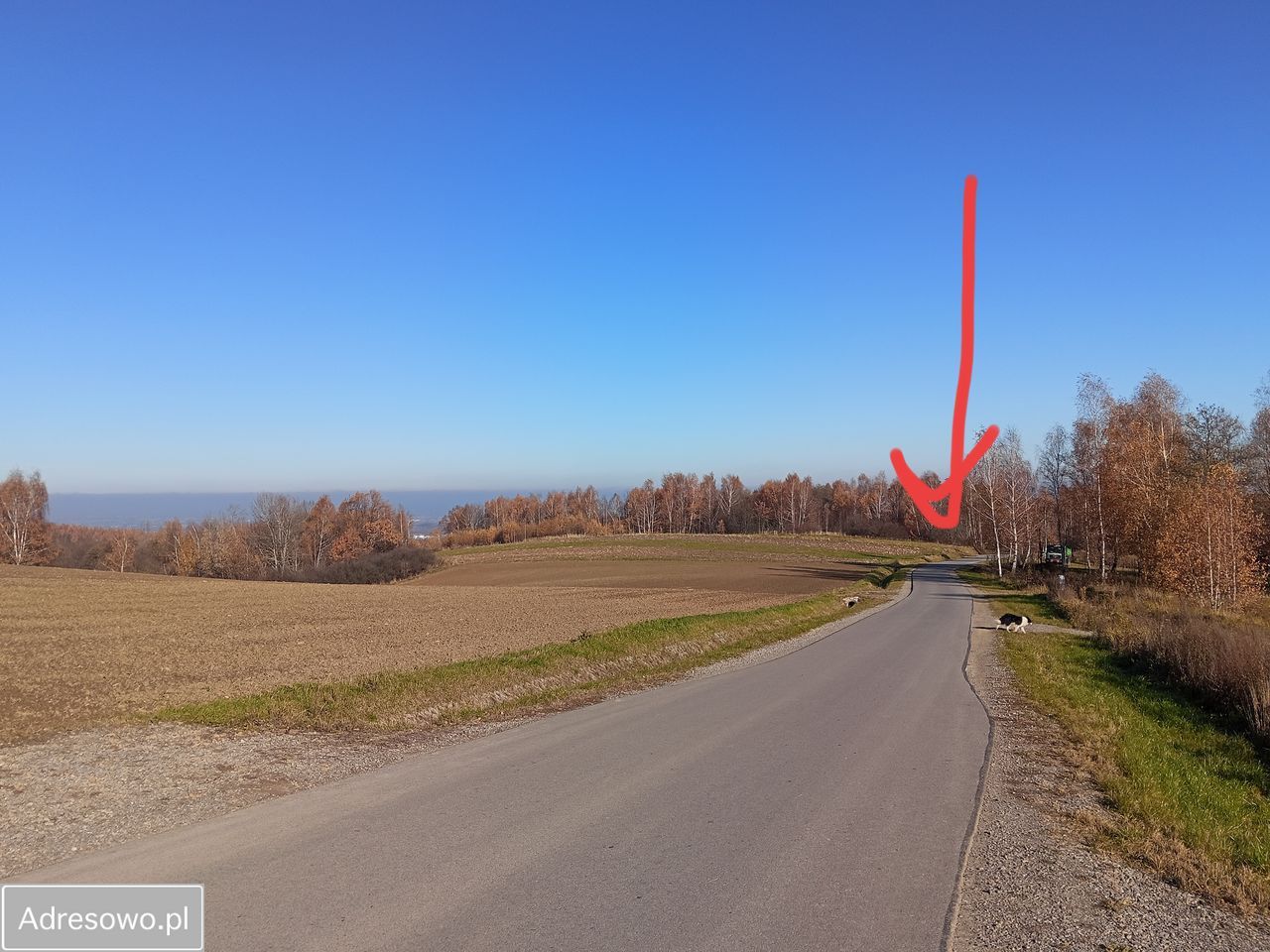 Działka budowlana Malawa. Zdjęcie 2