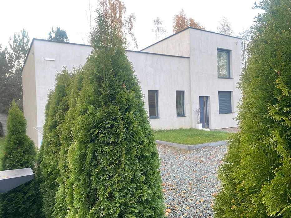 Działka inwestycyjna Borek Wielkopolski. Zdjęcie 2