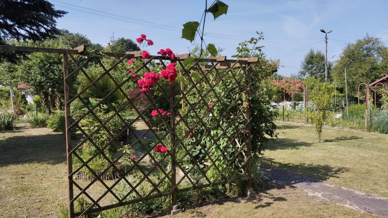 Działka rod Skawina. Zdjęcie 5