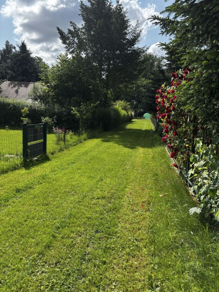 Działka rod Nysa. Zdjęcie 2