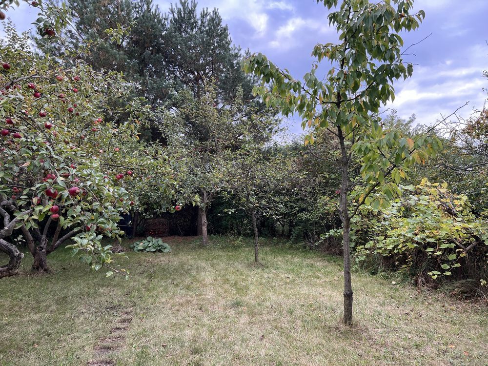 Działka rod Warszawa Wilanów, ul. Augustówka. Zdjęcie 5