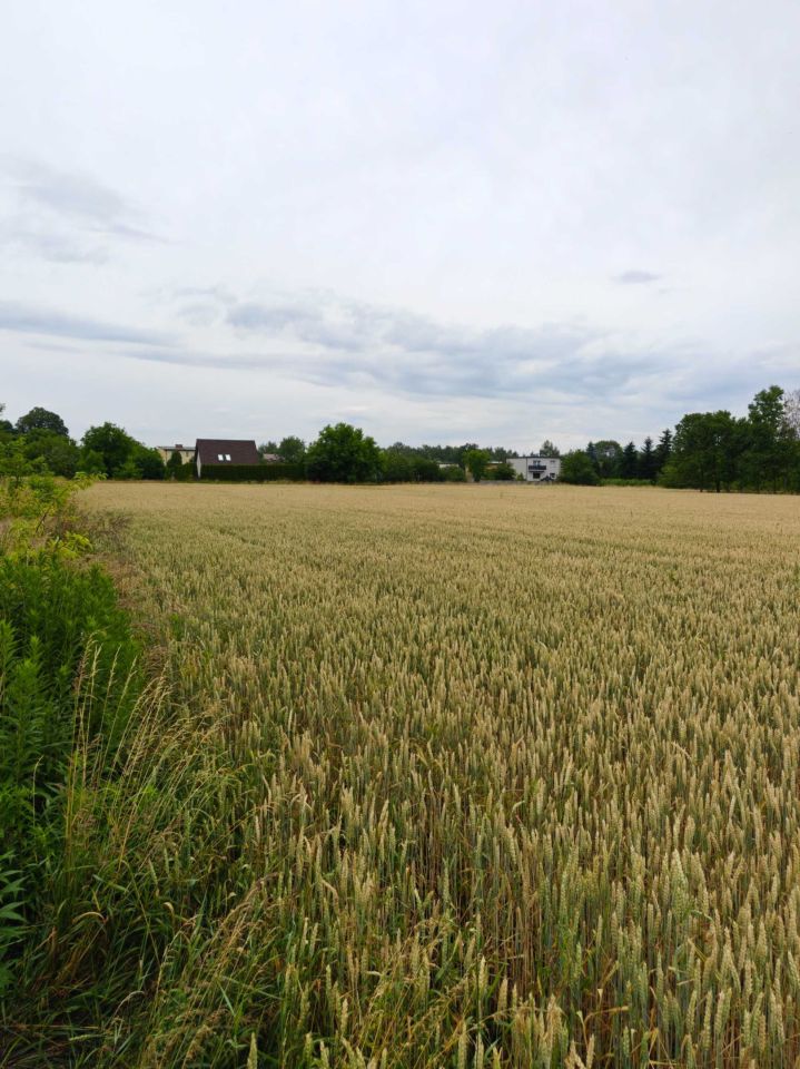 Działka inwestycyjna Mysłowice Brzezinka, ul. Piaskowa. Zdjęcie 3