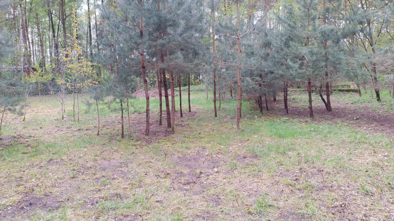 Działka budowlana Zofiówka, ul. Kolorowa. Zdjęcie 22