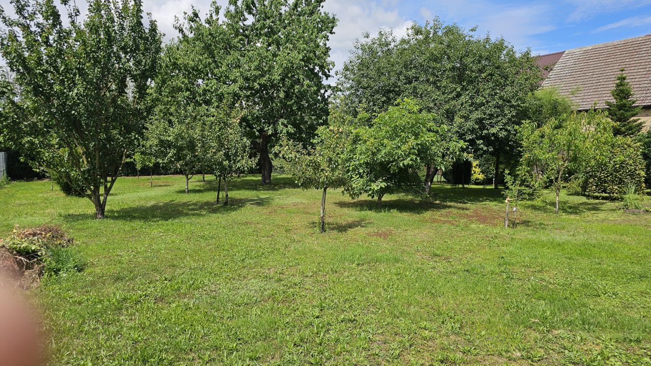 Działka rolno-budowlana Cychry, ul. Tadeusza Kościuszki. Zdjęcie 5