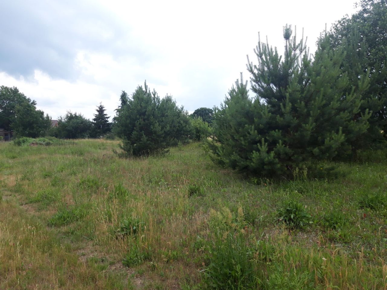 Działka budowlana Świerczyna. Zdjęcie 2