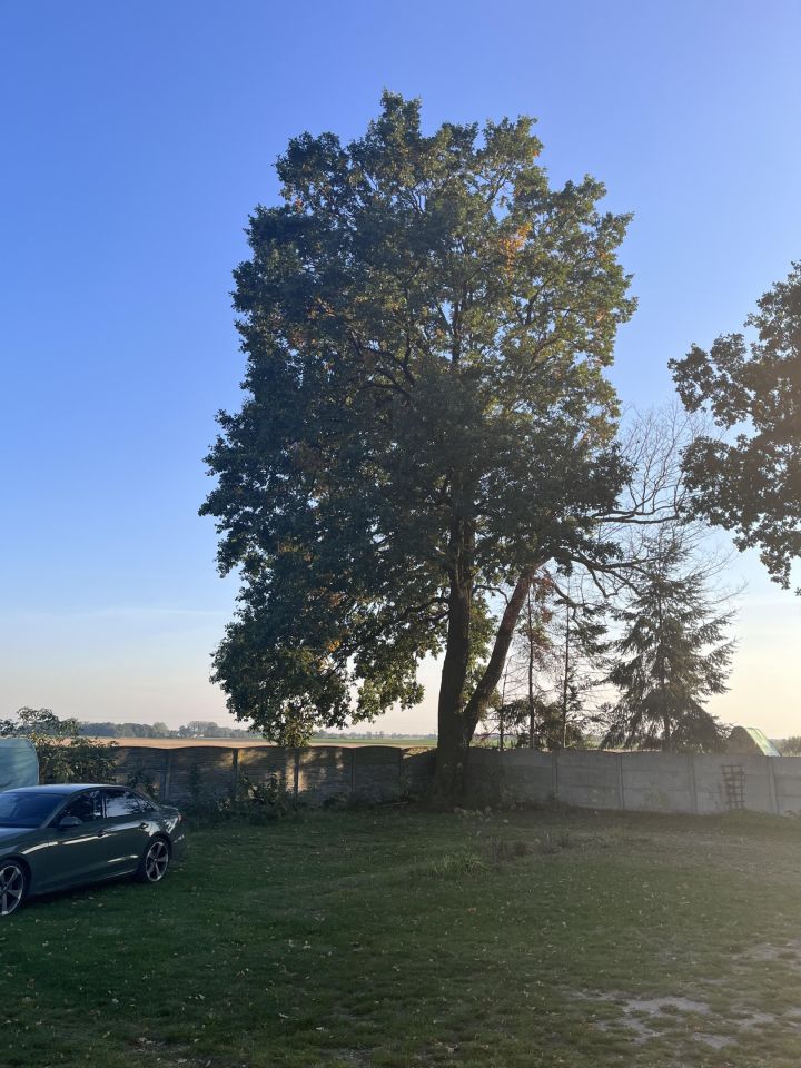 dom wolnostojący, 6 pokoi Modliszewo, Wegorzewo. Zdjęcie 35