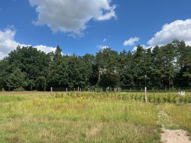 Działka budowlana Podańsko, ul. Radosna. Zdjęcie 4