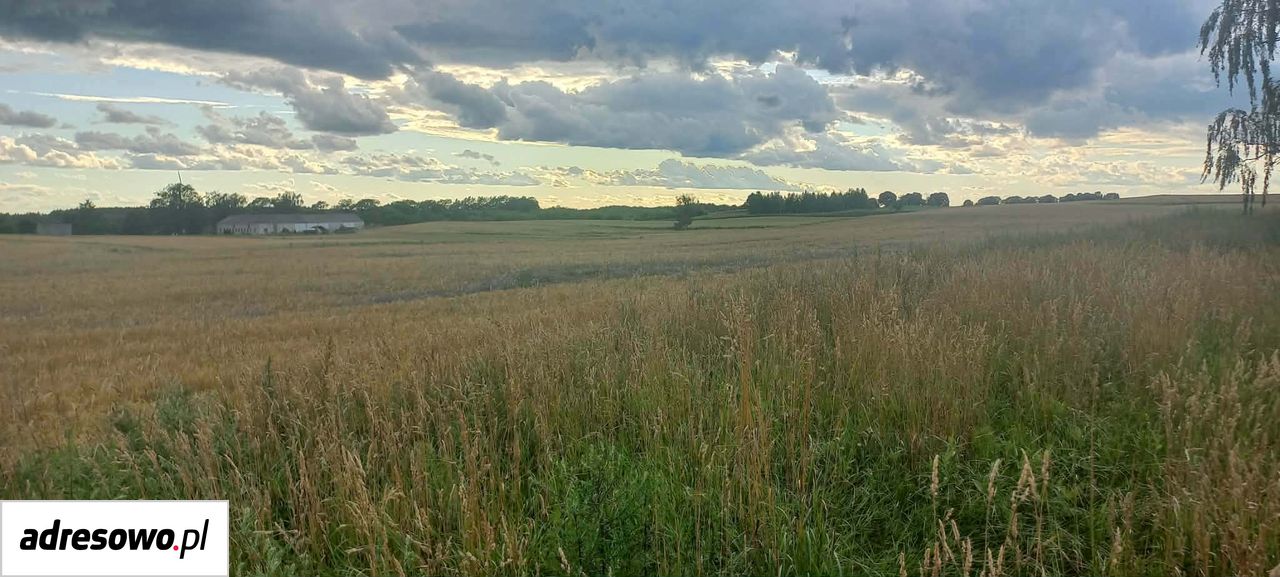 Działka siedliskowa Sugajenko. Zdjęcie 4