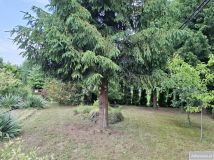 Działka rod Jastrzębie-Zdrój, ul. Wolności. Zdjęcie 2