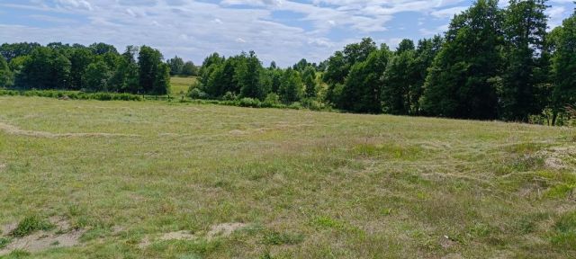 Działka budowlana Przyrowo. Zdjęcie 1