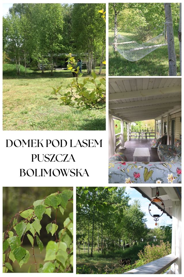 Działka budowlana Grabina Radziwiłłowska, ul. Duża. Zdjęcie 5