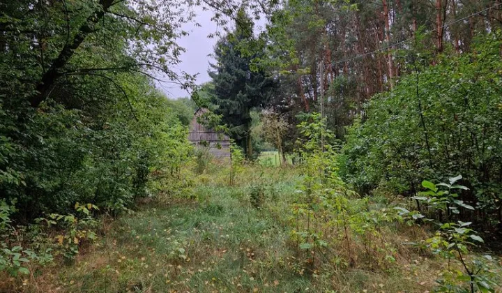 Działka budowlana Pogorzelec