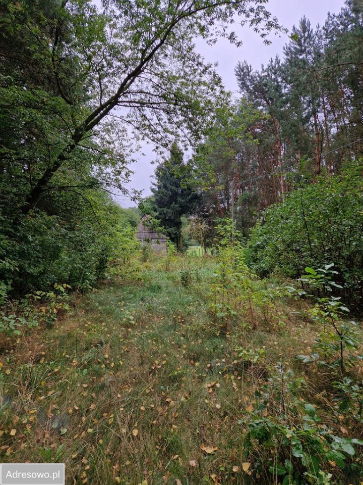 Działka budowlana Pogorzelec