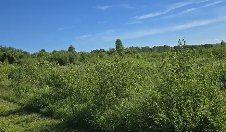 Działka rolna Sulicice Ameryka