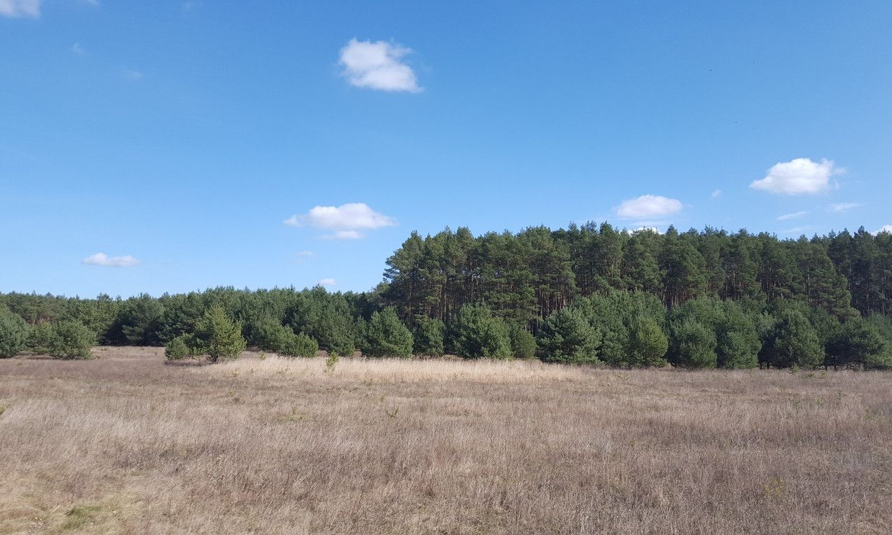 Działka rolna Silna. Zdjęcie 6