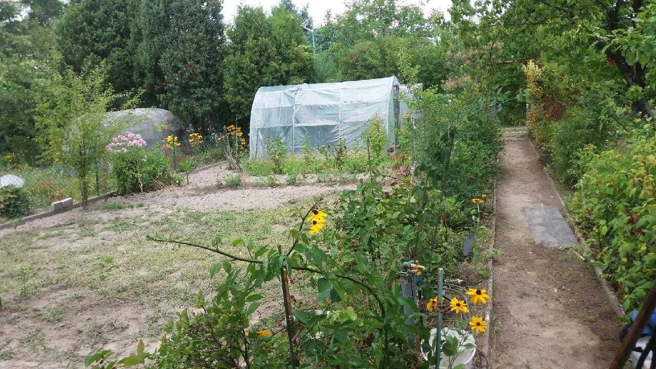 Działka rekreacyjna Piastów