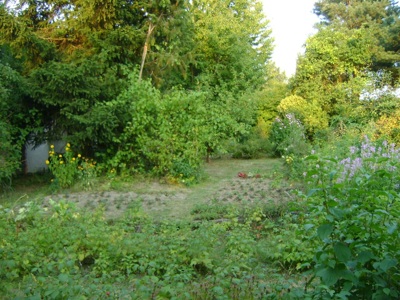 Działka rod Lublin Szerokie, ul. Nałęczowska. Zdjęcie 16