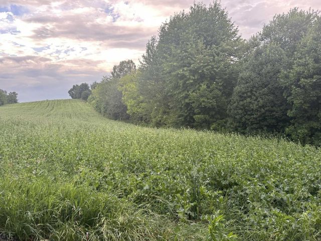 Działka budowlana Lipniak. Zdjęcie 1