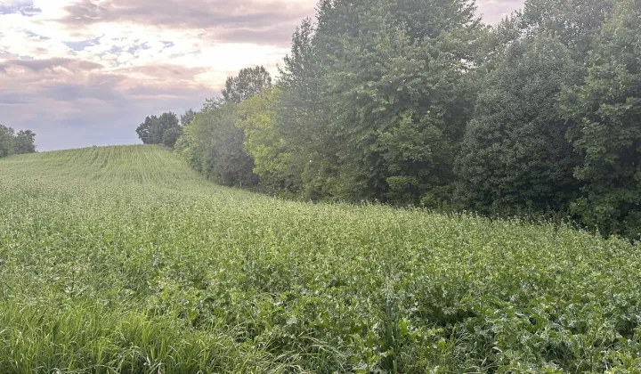 Działka budowlana Lipniak