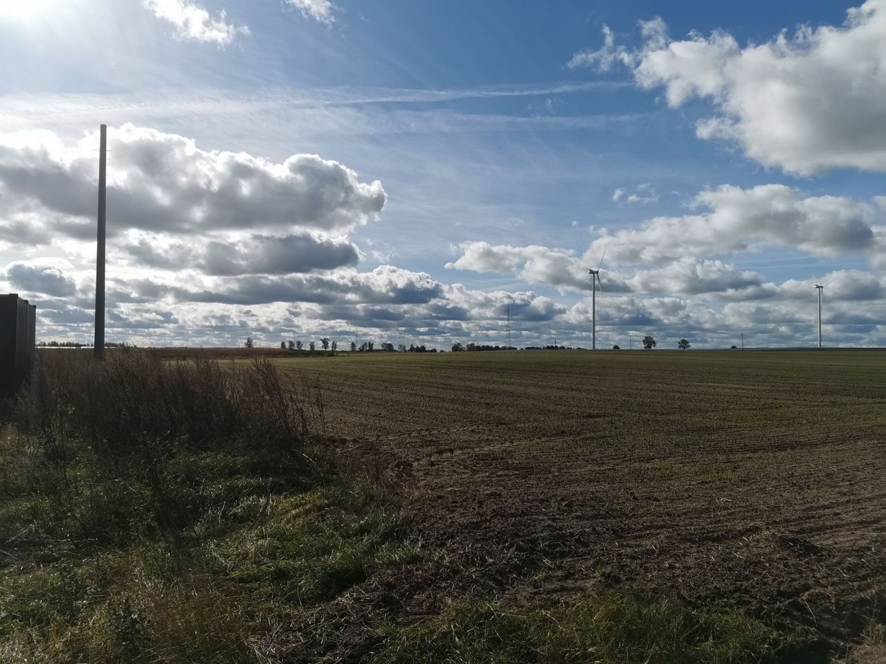 Działka inwestycyjna Blękwit. Zdjęcie 6