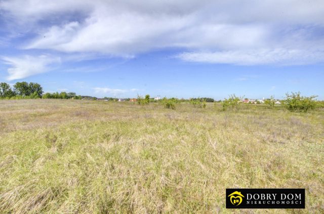 Działka budowlana Bakałarzewo. Zdjęcie 5
