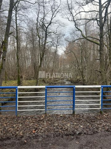 Działka rolna Paraszyno. Zdjęcie 15