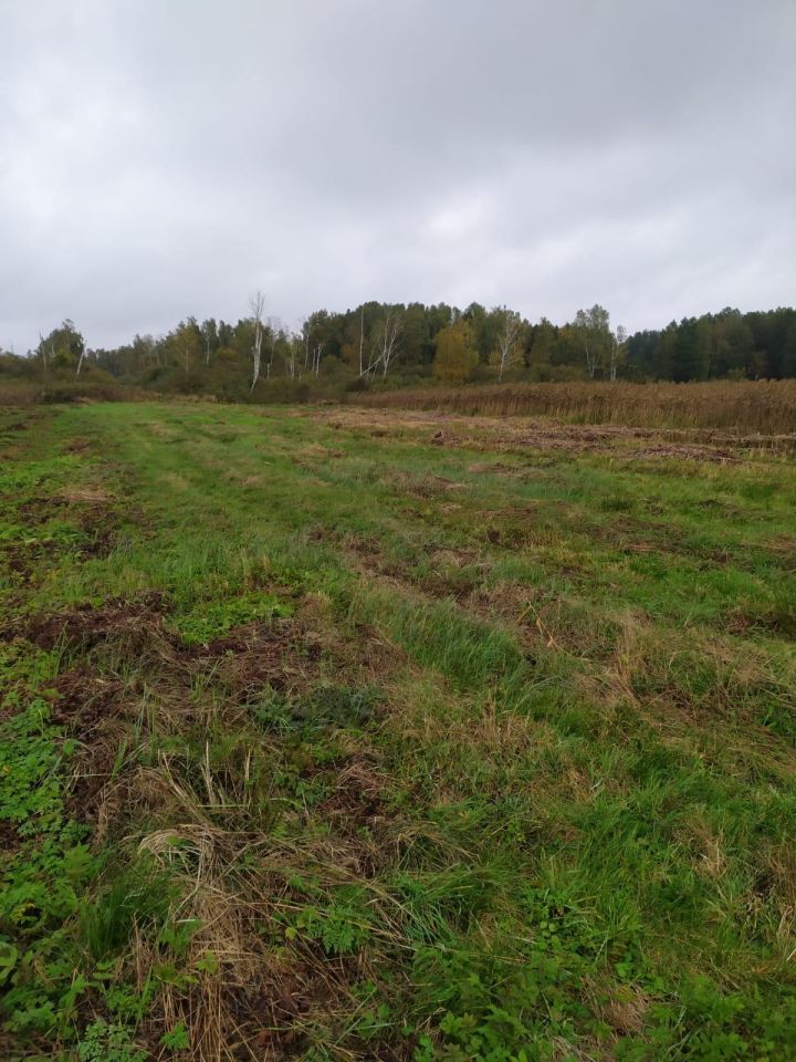 Działka rolna Nowy Świat. Zdjęcie 3