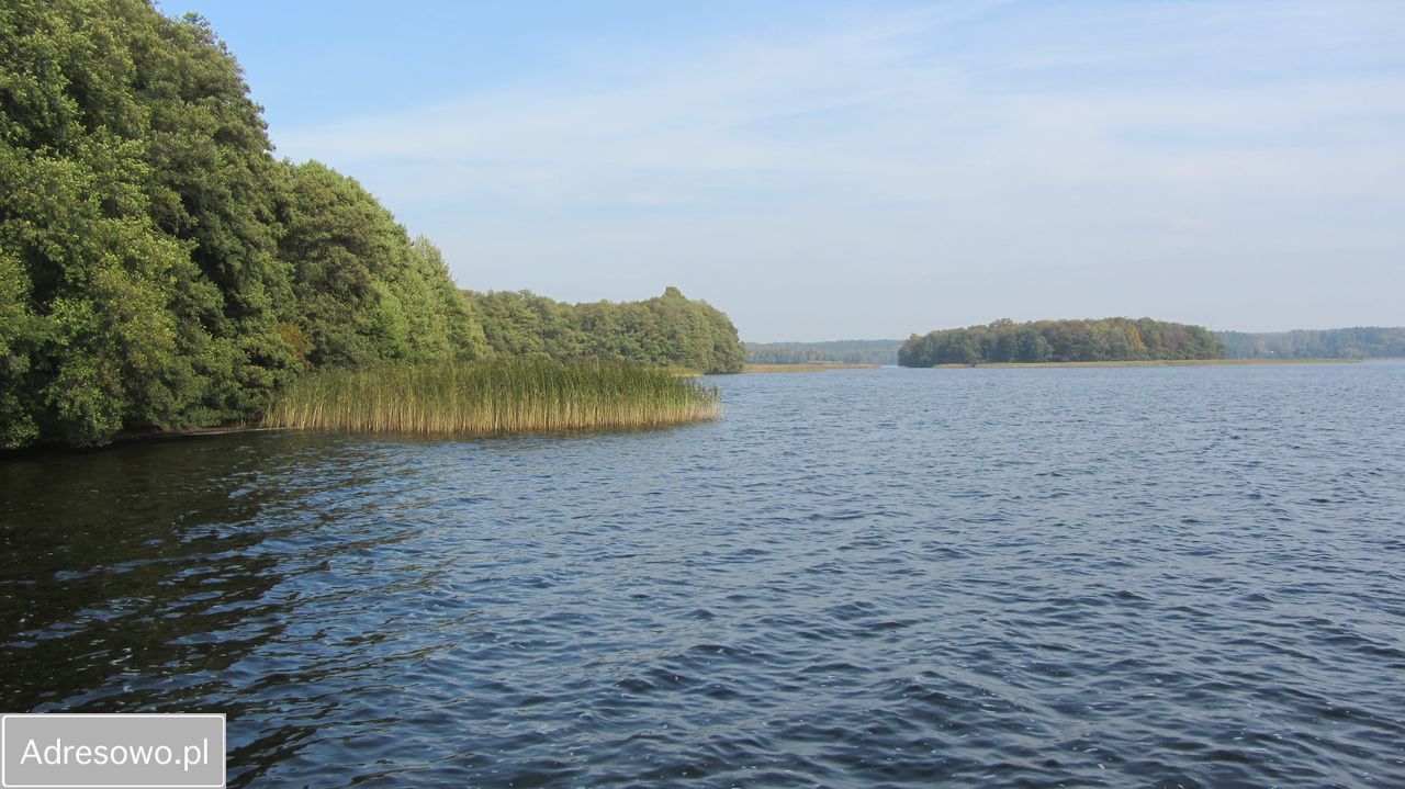 Działka rekreacyjna Łupawsko. Zdjęcie 2