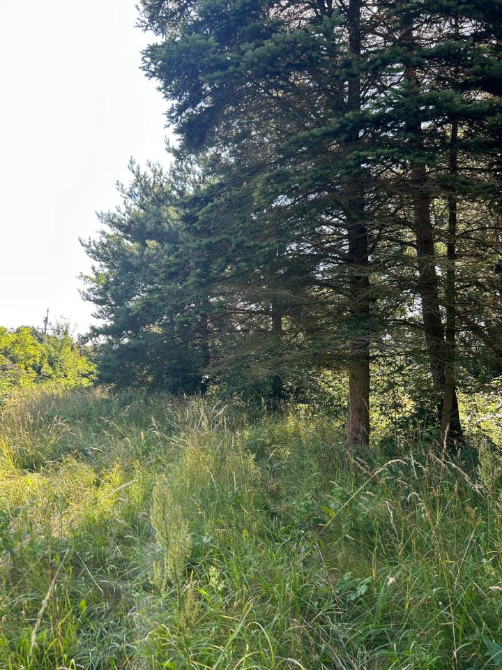 Działka budowlana Ruciane-Nida Dybówek, ul. Gruntowa. Zdjęcie 4