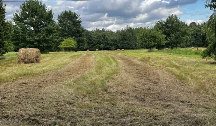 Działka budowlana Samsonów-Piechotne