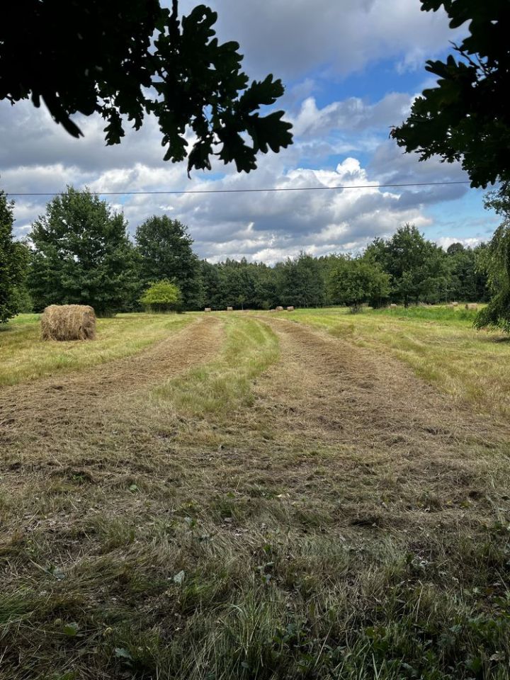 Działka budowlana Samsonów-Piechotne. Zdjęcie 1