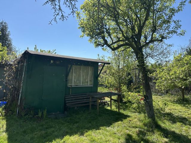 Działka rod Mogilno. Zdjęcie 1