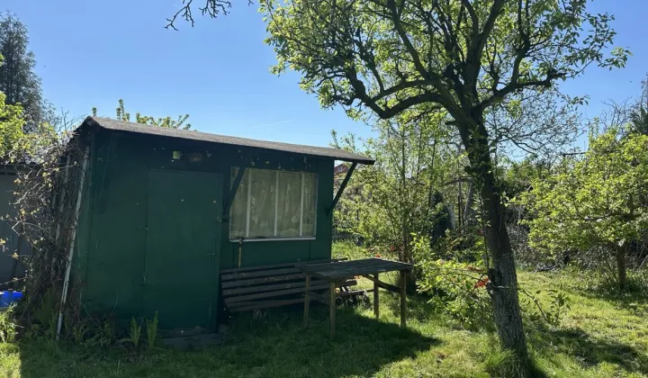 Działka rod Mogilno