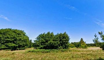 Działka rolna Smołdzino, Działka nad morzem blisko lasu