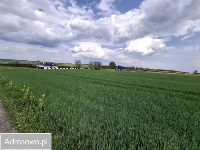Działka rolna Wawrzeńczyce