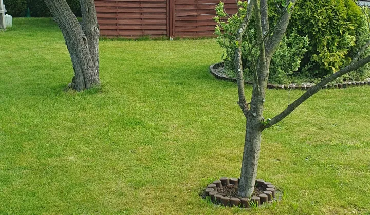 Działka rod Jelenia Góra Zabobrze, ul. Witolda Lutosławskiego