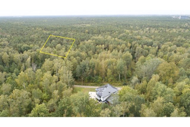 Działka leśna Warszawa Wesoła, ul. Torfowa. Zdjęcie 1